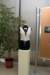 sh100480_small.jpg
